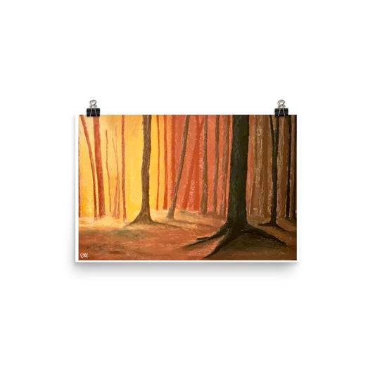 Forest - multiple sizes